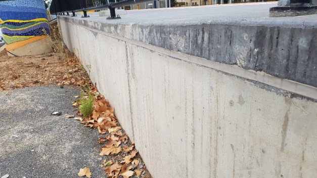 20190326_113218_resized